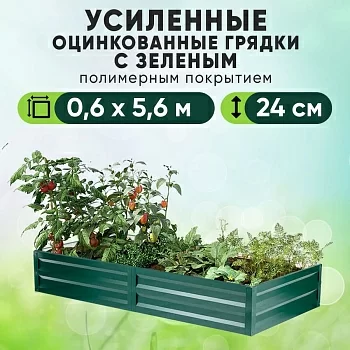 Зеленая усиленная грядка (0,6 х 5,6)